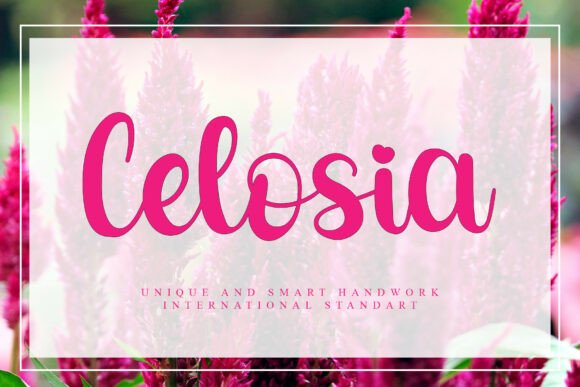 Celosia: The Handcrafted Font for Modern Designers